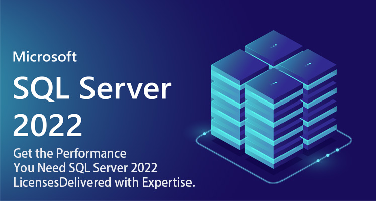 Buy Microsoft Windows Server 2022 License | Cost, Dealer & Partner in India