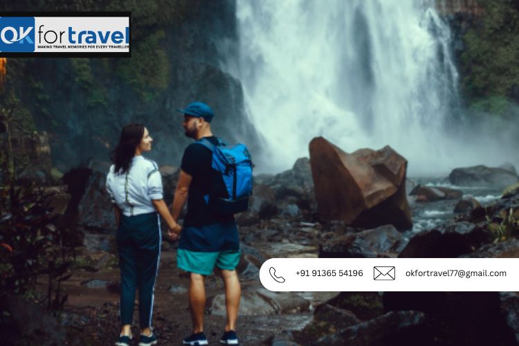 Top Kerala Family Tour Packages for a Relaxing Getaway