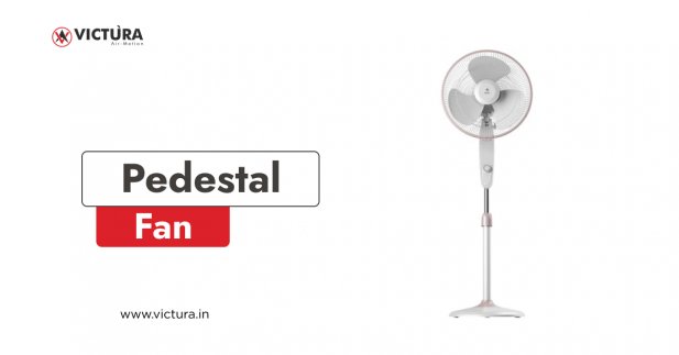 From Pedestal to Ceiling: Which Fan Type Suits Your Lifestyle? Article - ArticleTed -  News and Articles