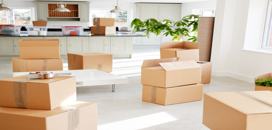 2025 Smart Checklist You Should Follow with Packers and Movers in Haldia - JustPaste.it