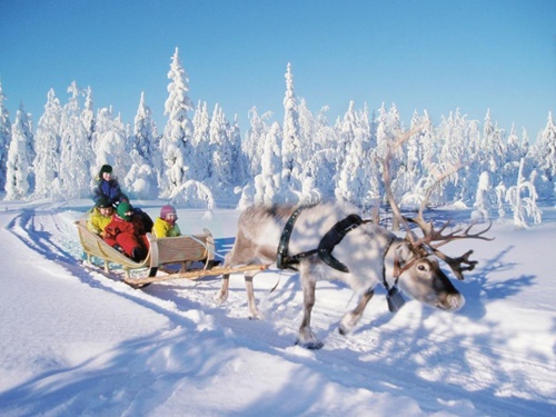 How to Plan the Perfect Rovaniemi Holiday Getaway? – Finland Local Guide