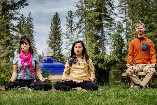 כיצד קלפי רגשות עוזרים לאנשים להבין ולהביע את רגשותיהם? – Ananda is Real