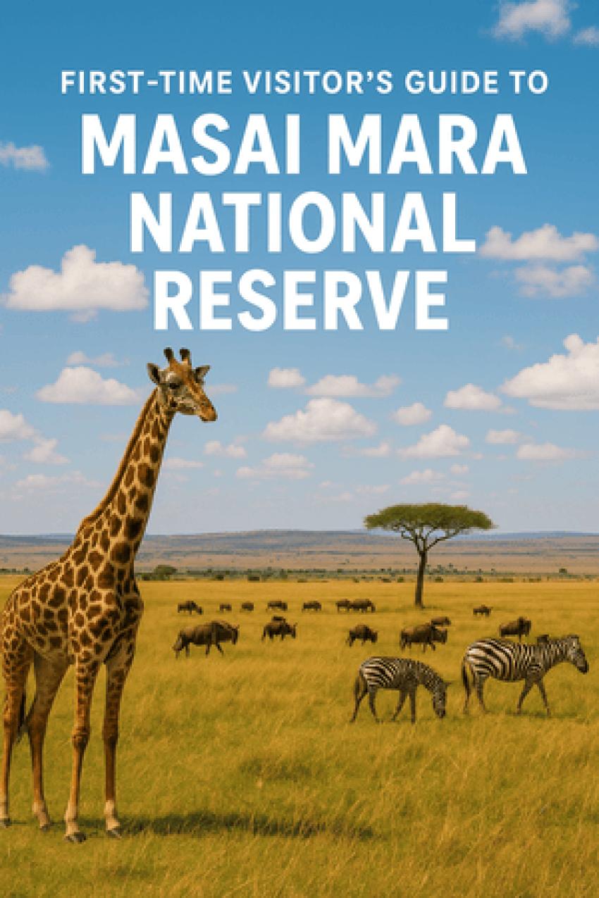 First-Time Visitor’s Guide to Masai Mara National Reserve - Ani Articles