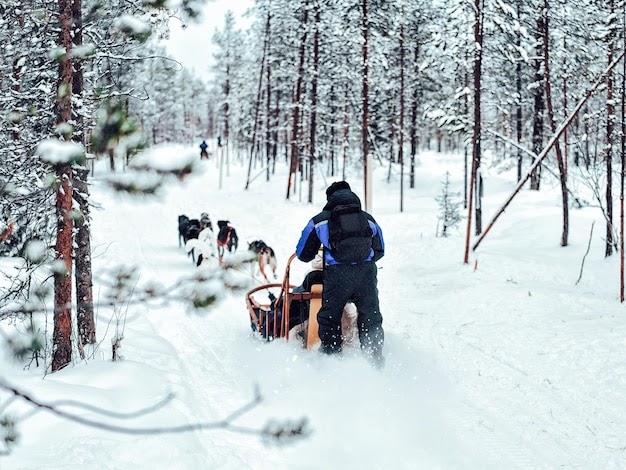Discover the Magic of the Arctic: Unforgettable Lapland Tours