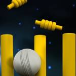 World 777 Cricket Demo ID Profile Picture