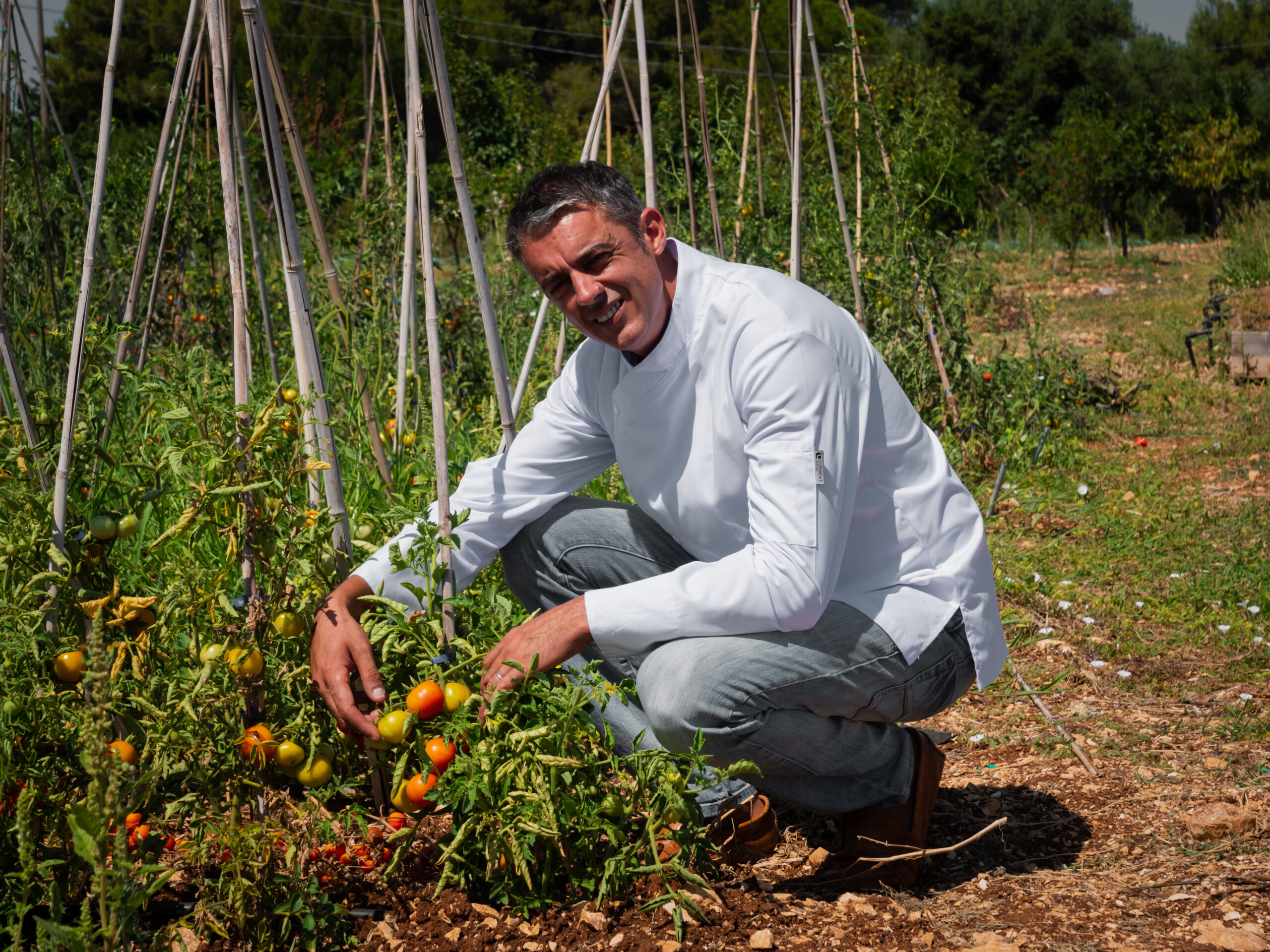 The Mediterranean Diet: A Delicious and Healthy Choice for Private Chefs in NYC - Personal Nutrition Chef New York - Alloro Private Dining