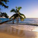 marinasemen Profile Picture