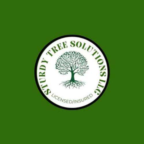 Sturdy Tree Solutions LLC Profile Picture