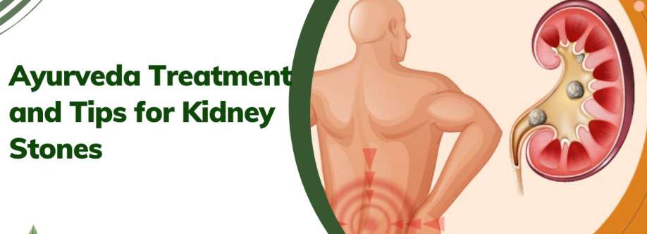 medilux ayurveda Cover Image