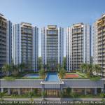 Century Mirai Profile Picture