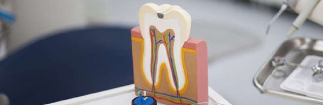 Dr Hayley Barocas Cover Image