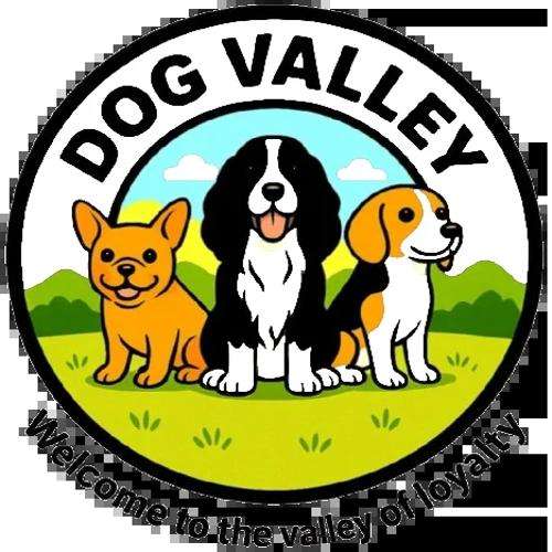 Dog valley Profile Picture