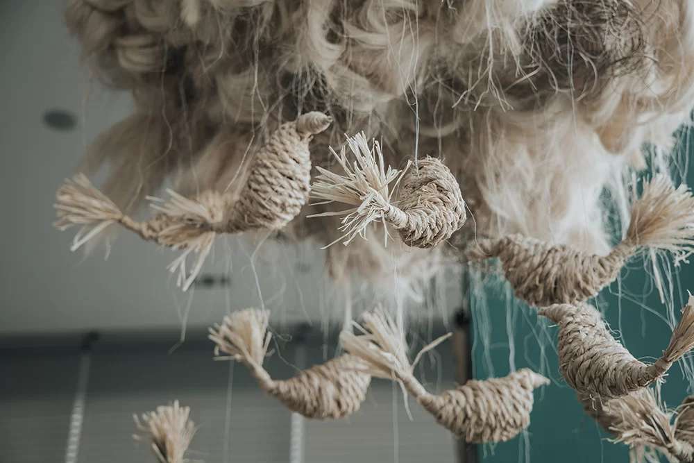 shada hotel Profile Picture