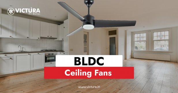 How BLDC Ceiling Fans Can Transform the Vibe of Your Living Space  Article - ArticleTed -  News and Articles