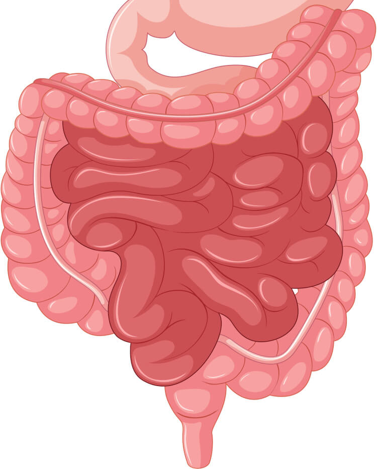 Colonic Irrigation Treatment Manchester Near Me Stockport - Mi Vida