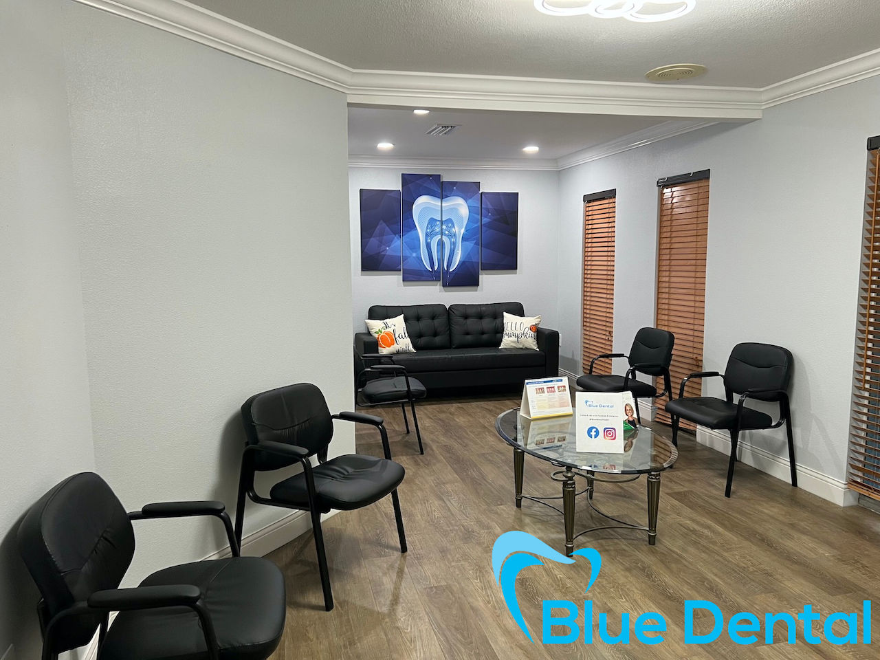 Dentist in Largo FL | Trusted Dental Clinic – Blue Dental Largo