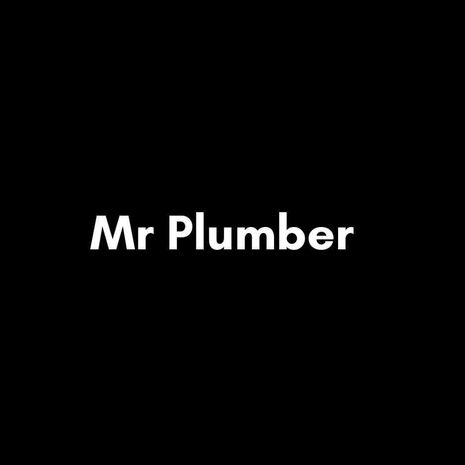 Plumbing Service in Dubai Profile Picture