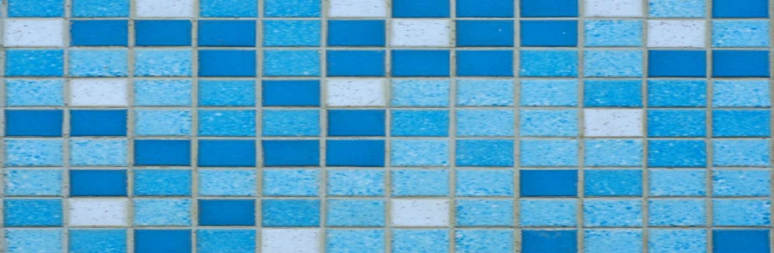 Shirly Williams Cover Image