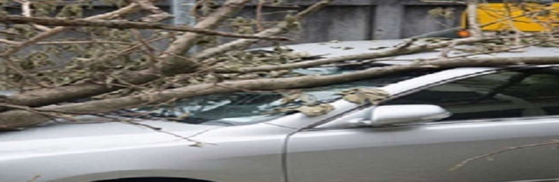 Vivien Adao Cover Image