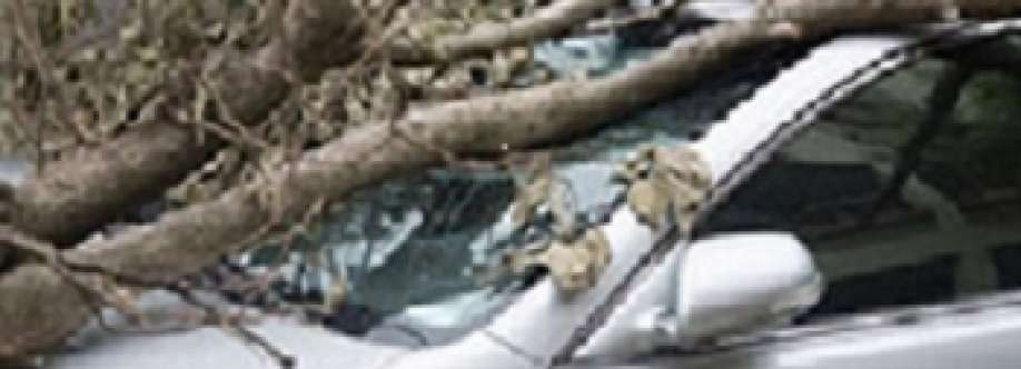 George L. Brown Insurance Agency Cover Image