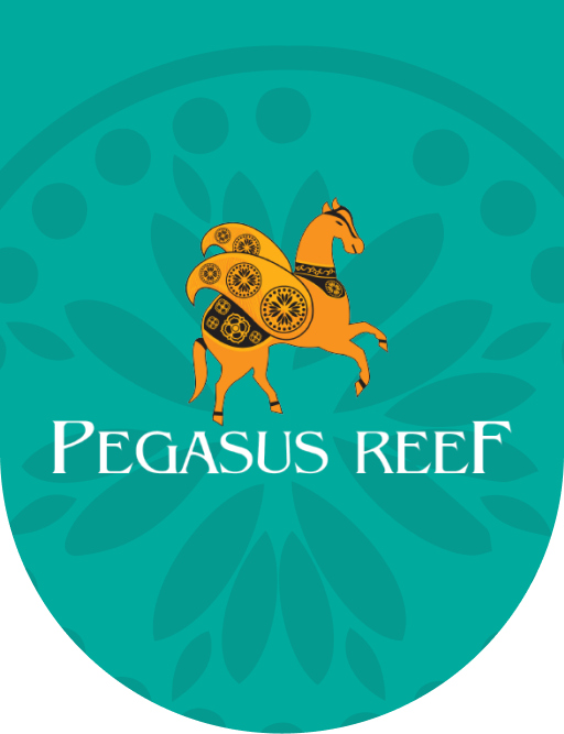 Best Wattala Beach Hotel for Unforgettable Getaways | Pegasus Reef