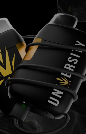 Shop Premium Gummies – Bold Flavor & Potency | Trap University