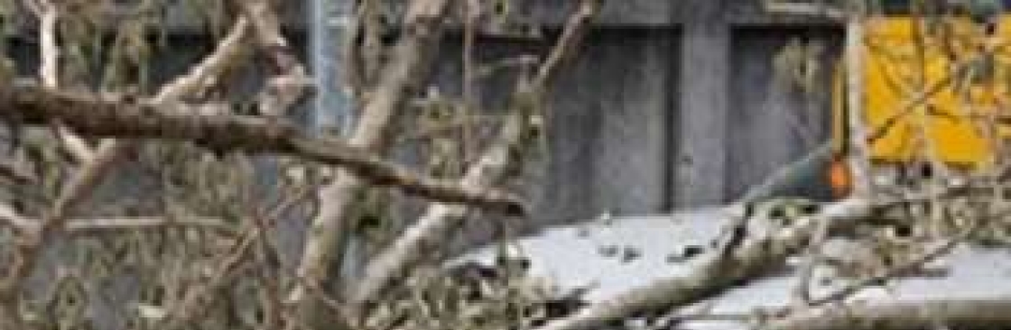 RiverTree Insurance Cover Image