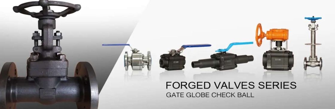 China Forged Valves Cover Image