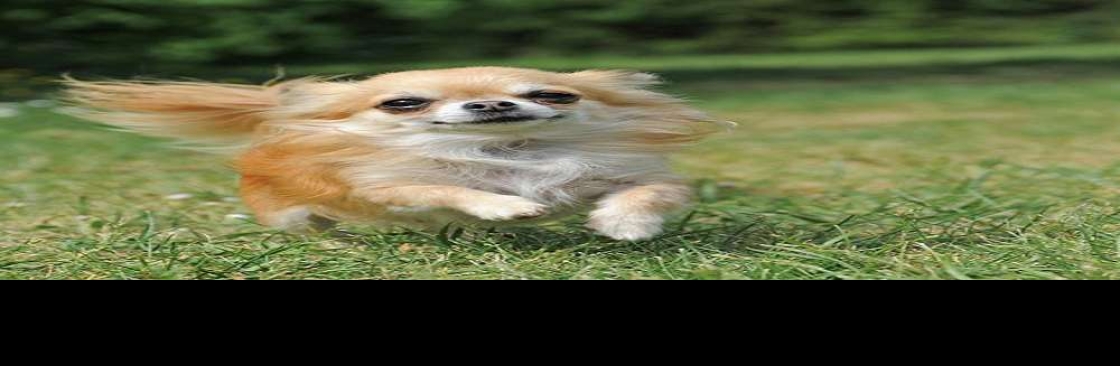 Top Dog Kennel Cover Image